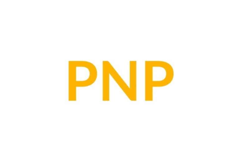 PNP Advisors