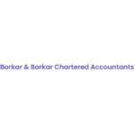 Borkar & Borkar Chartered Accountants