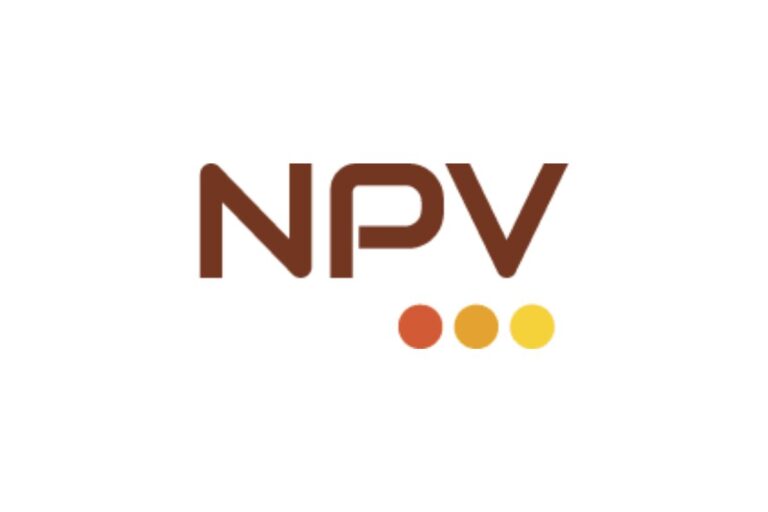 NPV & Associates LLP